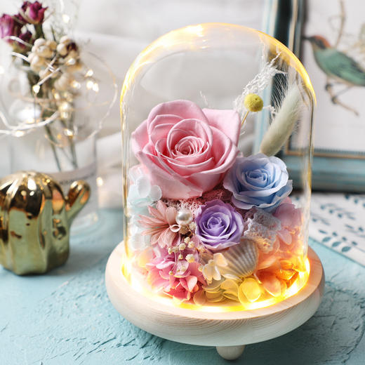 【春节不打烊 顺丰包邮】小熊/康乃馨款 永生花礼盒玻璃罩七夕情人节礼物圣诞节教师节创意礼品  送女朋友老婆 商品图4