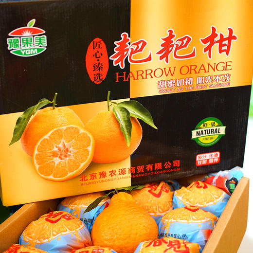耙耙柑10斤 商品图0