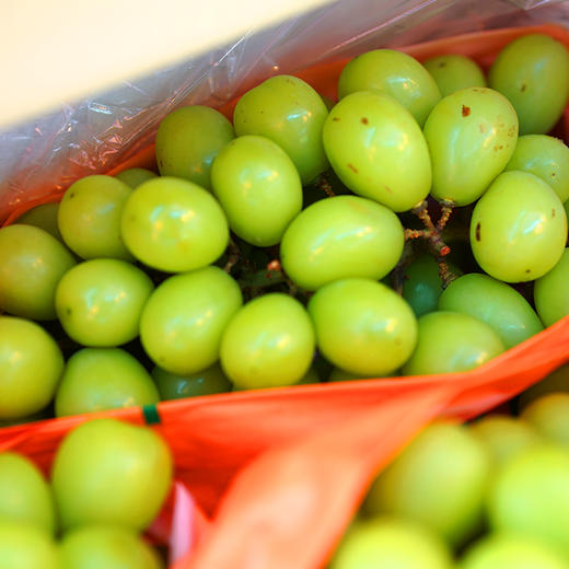 晴王葡萄5斤 商品图1