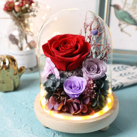 【春节不打烊 顺丰包邮】小熊/康乃馨款 永生花礼盒玻璃罩七夕情人节礼物圣诞节教师节创意礼品  送女朋友老婆 商品图1