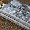 桶川跟踪狂杀人事件 清水洁著 调查记者全程追踪直击日本官僚体制结构性罪恶 日本纪实文学书籍 外国文学非虚构 商品缩略图4