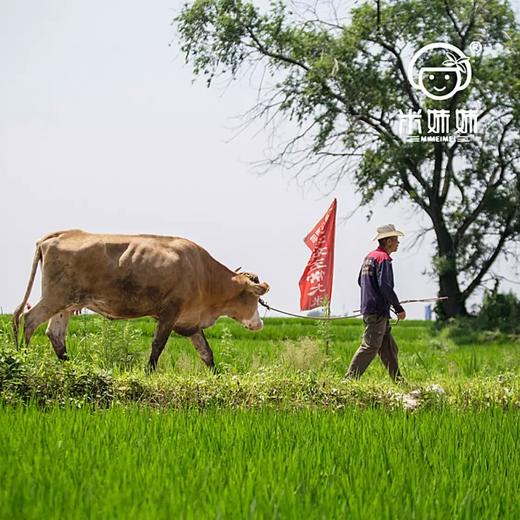 【疫情管控地区停发】米妹妹五常香米（真空袋装）2.5kg/5kg 商品图3