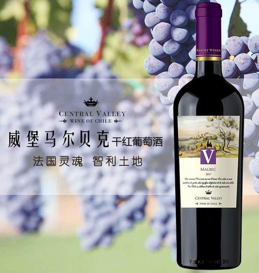 智利威堡马尔贝克干红葡萄酒 750ml 商品图0
