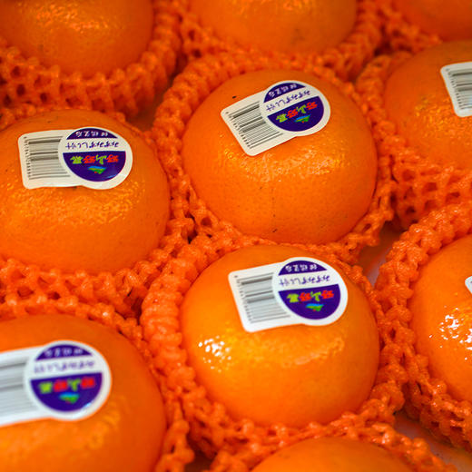 香妃柑10斤 商品图1