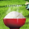 【疫情管控地区停发】米妹妹鲜香贡米2.5kg/5kg 商品缩略图1