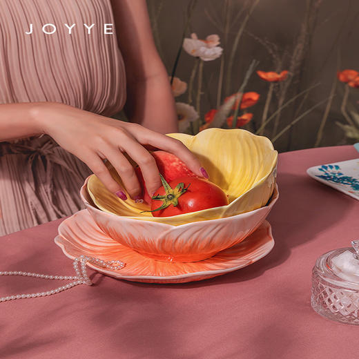 JOYYE卓艺套2花园盘-花型8寸TFD0120044 商品图1