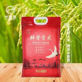 【疫情管控地区停发】米妹妹鲜香贡米2.5kg/5kg