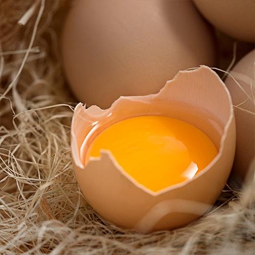 业主福利~【平谷柴鸡蛋】60枚/礼箱 商品图1