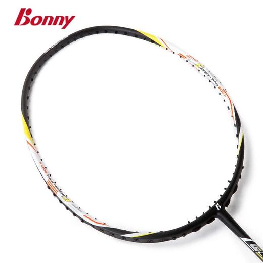 波力羽毛球拍310成人男女室外耐磨 商品图0