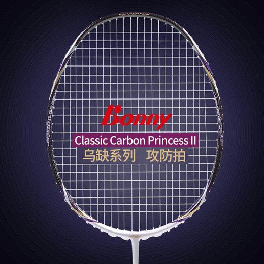 波力羽毛球拍310成人男女室外耐磨 商品图1