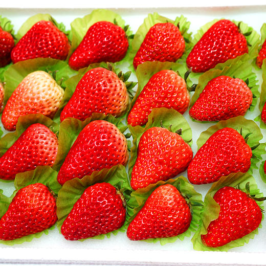 草莓2.5斤 商品图1