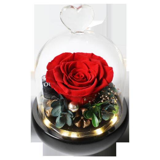 顺丰包邮 情人节礼物 爱心款永生花礼盒玻璃罩七夕情人节礼物闺蜜女友玫瑰花干花diy 商品图7