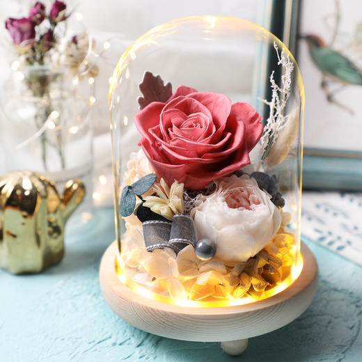 【春节不打烊 顺丰包邮】小熊/康乃馨款 永生花礼盒玻璃罩七夕情人节礼物圣诞节教师节创意礼品  送女朋友老婆 商品图3