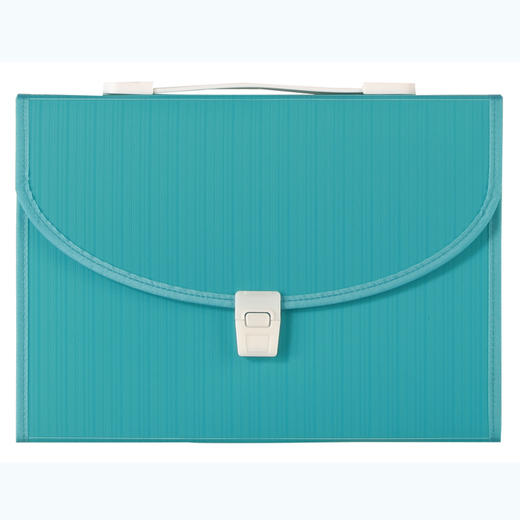 富美高手提风琴包/A4/13格 商品图0