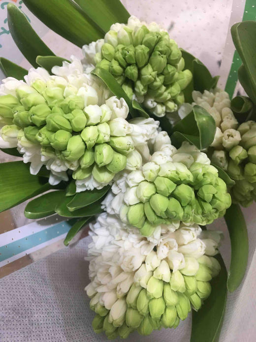 配花-风信子-白色 商品图0