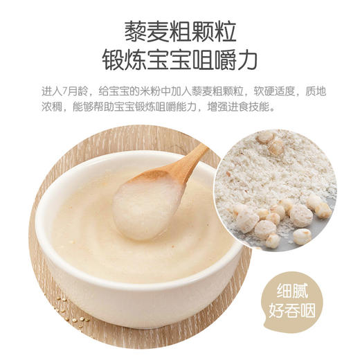 小皮有机藜麦多种谷物粉160g（7月+宝宝食用） 商品图3