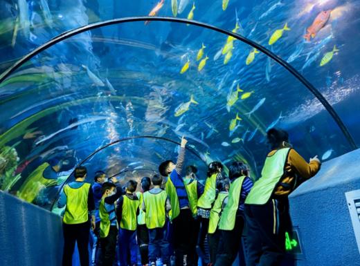 【夜宿】海洋馆奇妙夜｜鱼我共眠·夜宿海洋馆 商品图1