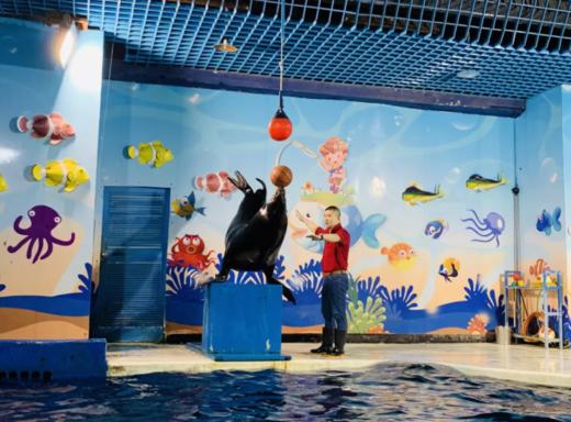 【夜宿】海洋馆奇妙夜｜鱼我共眠·夜宿海洋馆 商品图8