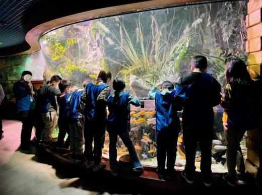 【夜宿】海洋馆奇妙夜｜鱼我共眠·夜宿海洋馆 商品图2