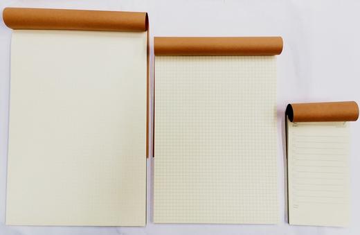 晨光多功能拍纸本A4点阵B5方格60K计划便签 商品图1