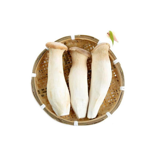 杏鲍菇400g±20g/袋 商品图0