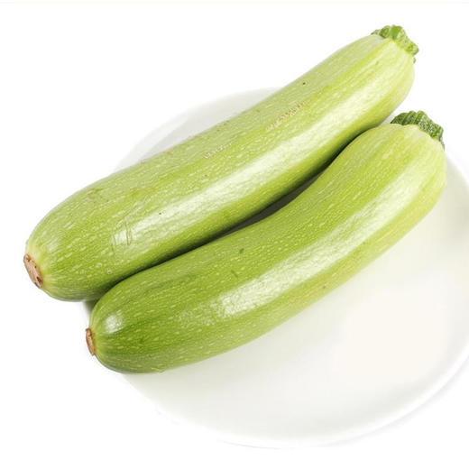 25种必备蔬菜任你选 商品图5