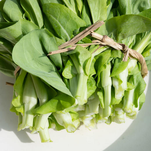 青菜心（大） 商品图0