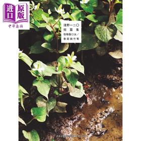 预售 【中商原版】漫画 浅野一二O短篇集：怪物裂口女／香菇与竹笋 浅野いにお 台版漫画书 东贩