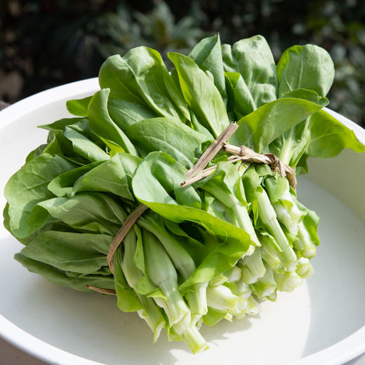 青菜心（大） 商品图2