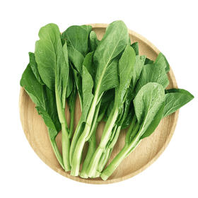 芥蓝   Chinese Kale