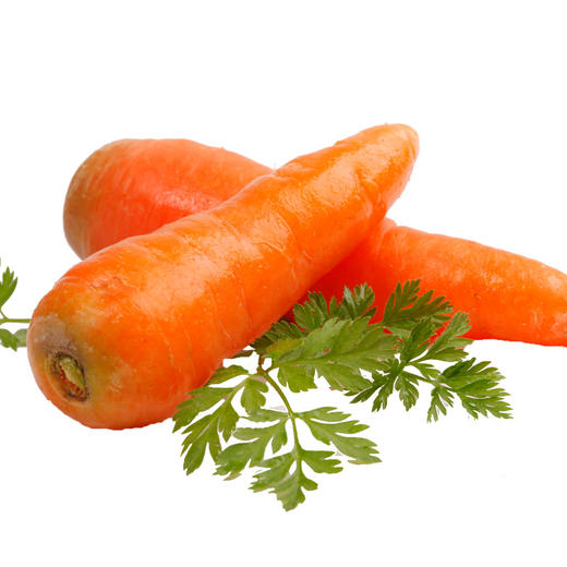 25种必备蔬菜任你选 商品图3