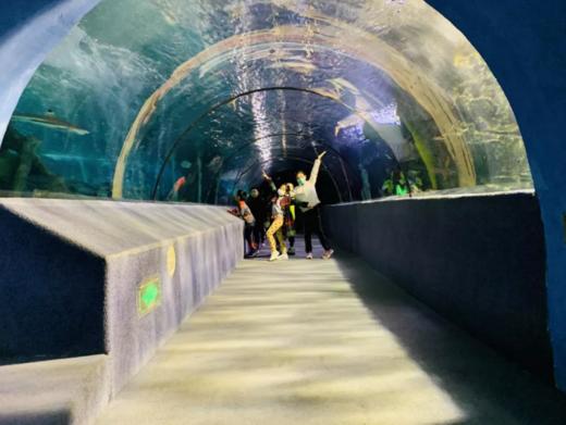 【夜宿】海洋馆奇妙夜｜鱼我共眠·夜宿海洋馆 商品图10