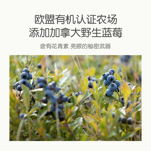 小皮蓝莓香蕉七种谷物粉160g 商品图4