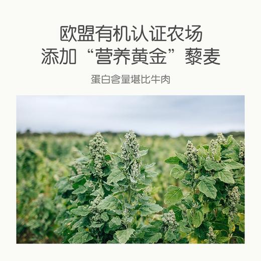 小皮有机藜麦多种谷物粉160g（7月+宝宝食用） 商品图5