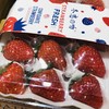 【丹东99草莓】明星产品 商品缩略图3