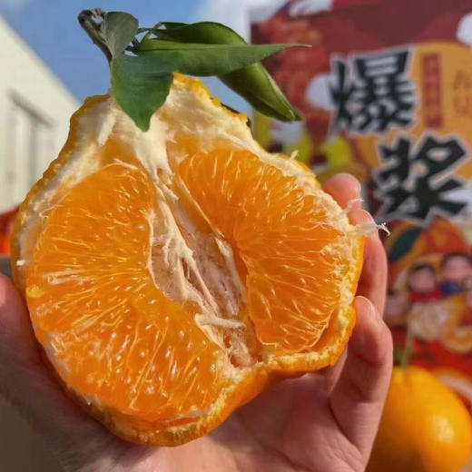 【春见】高山春见（耙耙柑）不知火！入口甜美，果衣薄，口感甜无酸！ 商品图7