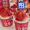 发财杯草莓 商品缩略图1