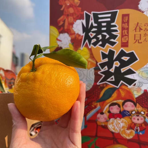 【春见】高山春见（耙耙柑）不知火！入口甜美，果衣薄，口感甜无酸！ 商品图5