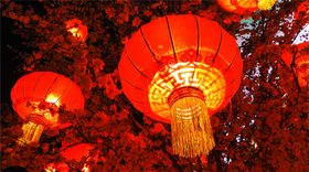 春风送暖迎新春，燕窝相伴度佳节