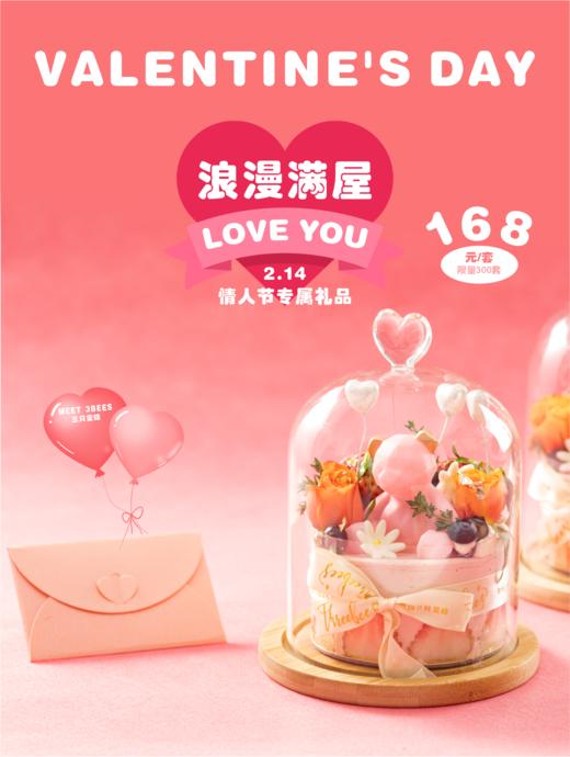 浪漫满屋（适合两个人浪漫或送闺蜜） 商品图0