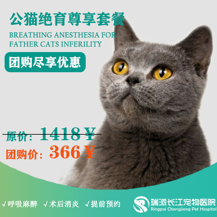 【到店服务】公猫去势尊享套餐，需提前1-3天预约