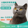 【到店服务】公猫去势尊享套餐，需提前1-3天预约 商品缩略图0