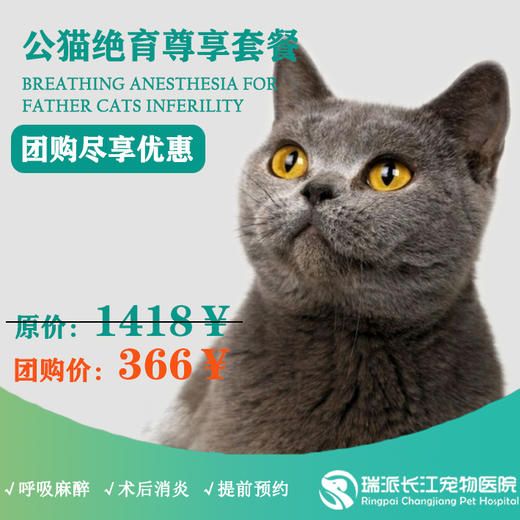 【到店服务】公猫去势尊享套餐，需提前1-3天预约 商品图0