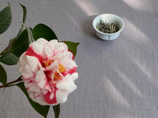 2019高级白牡丹《锦瑟》100克特惠装，秋深日长里，所能忆起的那一抹春光 商品图6