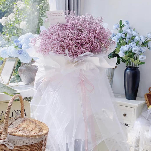 熊抱仙女纱满天星