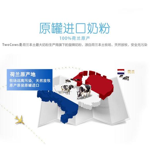 官方直营【双牛 Two Cows 淘高斯】荷兰进口青少年成人奶粉900g罐 商品图2