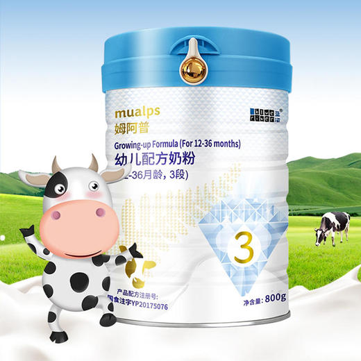 蓝河姆阿普牛奶粉1-3段奶粉800g 商品图0