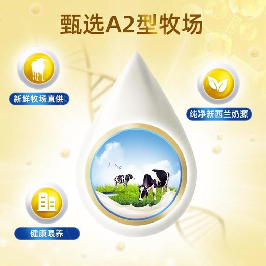【BSC】牛奶  澳洲karicare/可瑞康a2-β酪蛋白婴幼儿牛奶粉1段（0-6个月）900g澳洲新西兰原装进口 商品图3