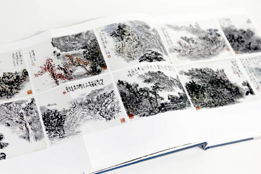 《插云草堂书画收藏集》定价:480 中国美术学院 正版品牌直销 商品图2