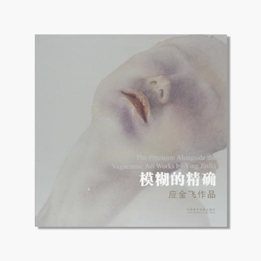 《模糊的精确：应金飞作品》定价：280 应金飞 著 中国美术学院 正版品牌直销 商品图0